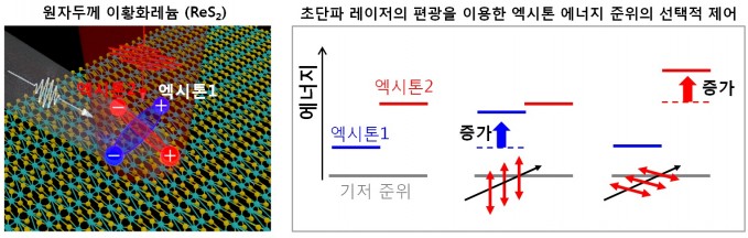 연구진의 개발 원리. 원자두께의 이황화레늄 반도체에 존재하는 서로 다른 2개의 엑시톤(사진 왼쪽)에 레이저 빛을 가하면, 레이저의 편광과 일치하는 엑시톤만 선택적으로 에너지 준위를 달리한다. - 연세대 제공